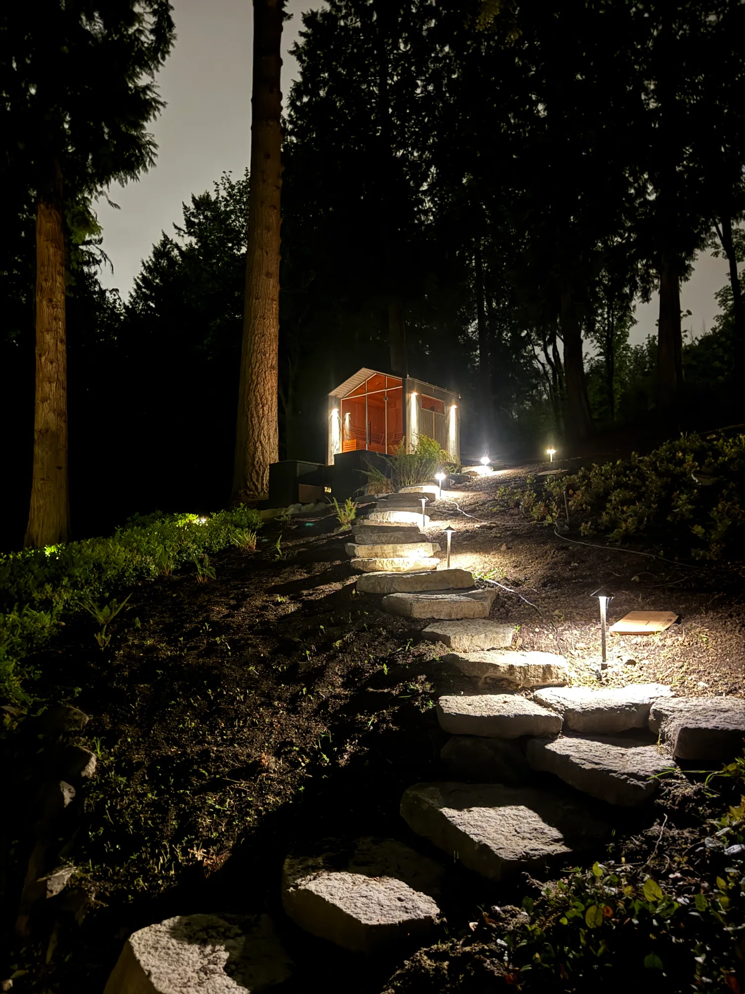 Sauna cabin glowing through the cedars